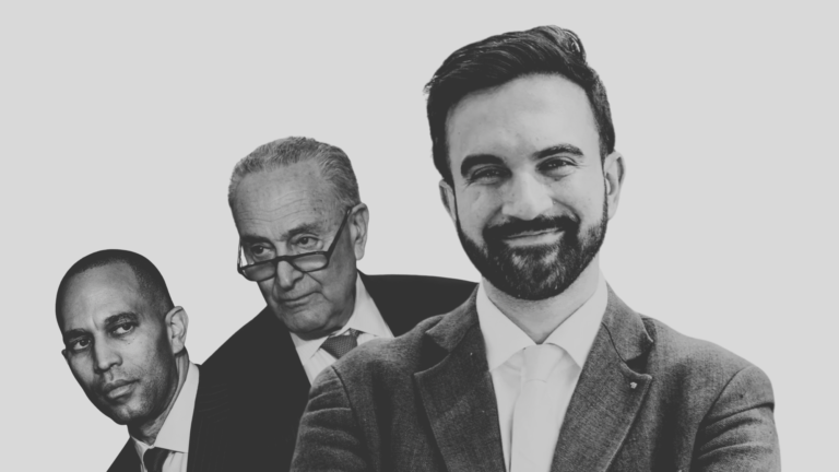 The Democratic Party Should Embrace Mamdani — and Itself